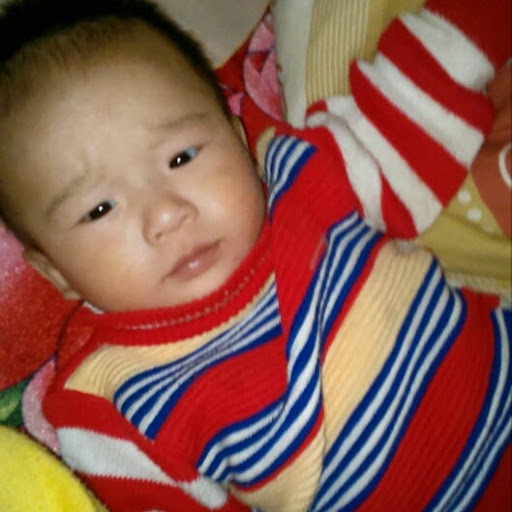 Lap Nguyen Photo 14