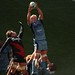 Brad Davies Photo 7