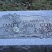 Janet Cobb Photo 14