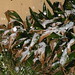Carol Bradley Photo 49