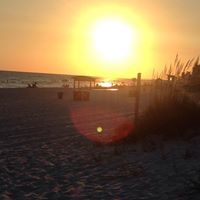 Michelle Timmons Photo 27