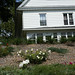 Melinda Morrison Photo 41