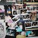 Stephanie Napoleon Photo 11