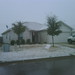 Julie Jarrell Photo 3