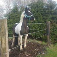 Katie Brooks Photo 24