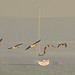 Dale Mast Photo 7