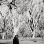 Laura Levin Photo 45