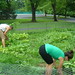 Melissa Korn Photo 14