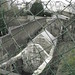 Thomas Devore Photo 10