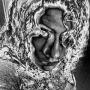 Sam Huff Photo 24