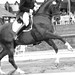 Michael Canter Photo 24