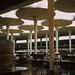 Lloyd Johnson Photo 32