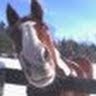 Frank Mancuso Photo 20