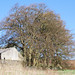 Sandy Matlock Photo 11