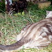 Bob Cross Photo 26