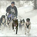 Daniel Tietz Photo 4