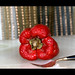 Steven Pepper Photo 14