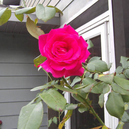 Melissa Whitt Photo 9