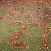 Joel Sievers Photo 10