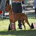 Linda Witt Photo 16
