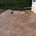 Step Brown Photo 15