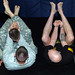 Todd Wolff Photo 14