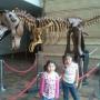Rosa Rios Photo 38