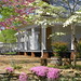Georgia Mcdaniel Photo 6