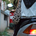 Tony Leopard Photo 16