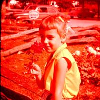 Lynn Palmer Photo 8