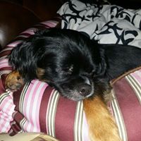 Gina Hurst Photo 6