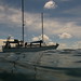 Jason Rodriguez Photo 12