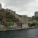 Mohammad Fateh Photo 16