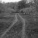 Glenn Hansen Photo 15