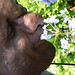 Allen Bibbs Photo 1