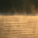 Dawn Lyons Photo 16