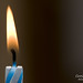 Steve Wortman Photo 6