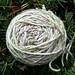 Joann Green Photo 22