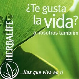 Ruth Cardoza Photo 16