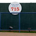 Hank Fields Photo 15