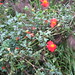 Susan Reimer Photo 24