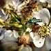 Karl Green Photo 19