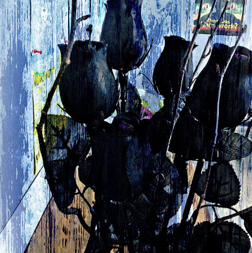 Victoria Murray Photo 13