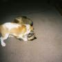 Rick Roberson Photo 31