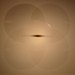 Robert Irwin Photo 30