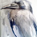 Stephanie Crow Photo 27