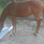 Lee Mathis Photo 33