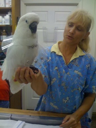 Pam Mitchell Photo 2