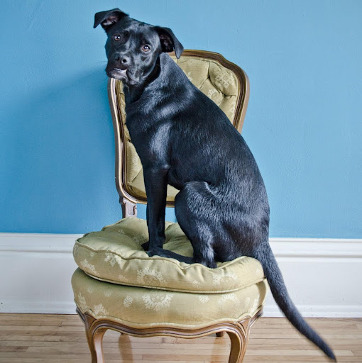 Lisa Burger Photo 23