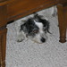 Zeke Russell Photo 8